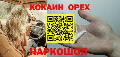 индика Можга