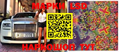 индика Можга
