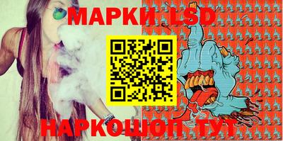 индика Можга