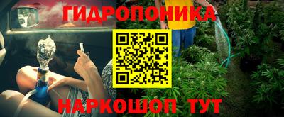 индика Можга