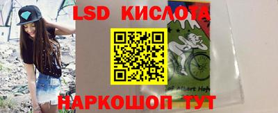 индика Можга