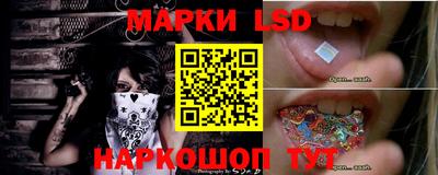 индика Можга