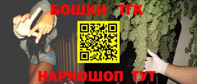 индика Можга