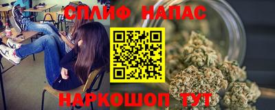 индика Можга
