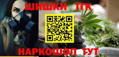 индика Можга