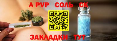 индика Можга