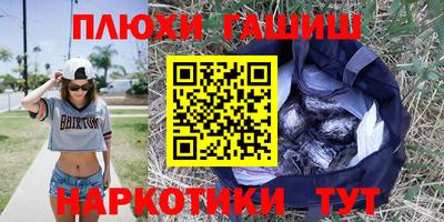 индика Можга