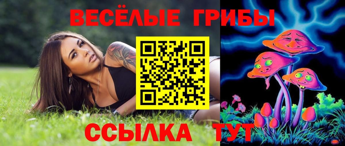 Псилоцибиновые грибы Cubensis Хабаровск